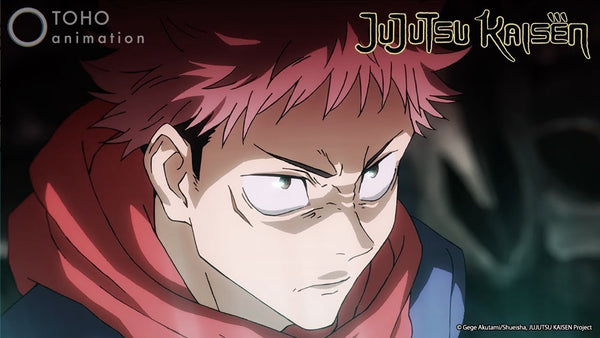 Yuji Itadori costume: the uniform, the red collar, sizing and the wig