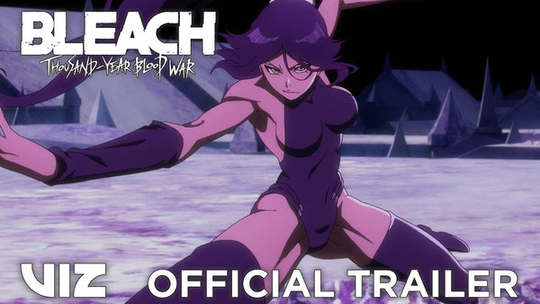 Bleach The Calamity : la fin de Thousand-Year Blood War, calendrier et chapitres adaptés